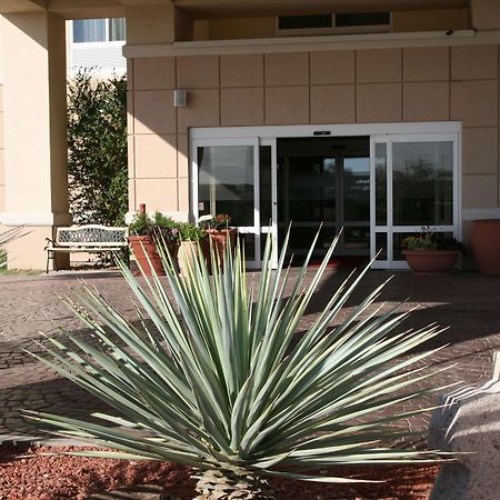 Hampton Inn Alpine Luaran gambar