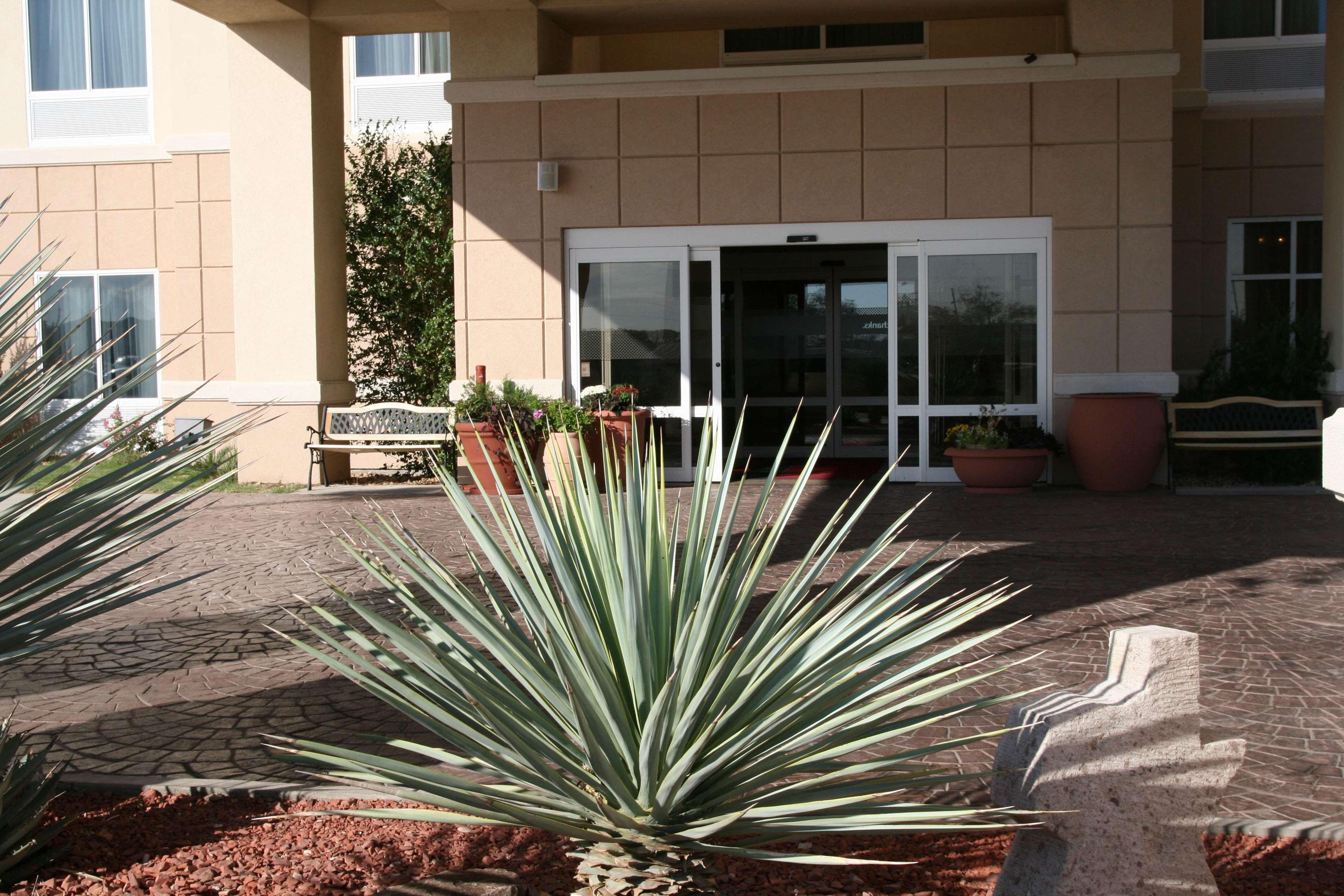 Hampton Inn Alpine Luaran gambar